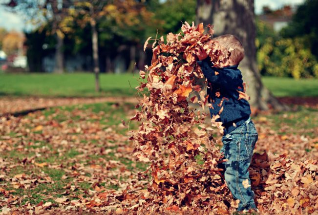 Little Boy Playing Outside with Leaves