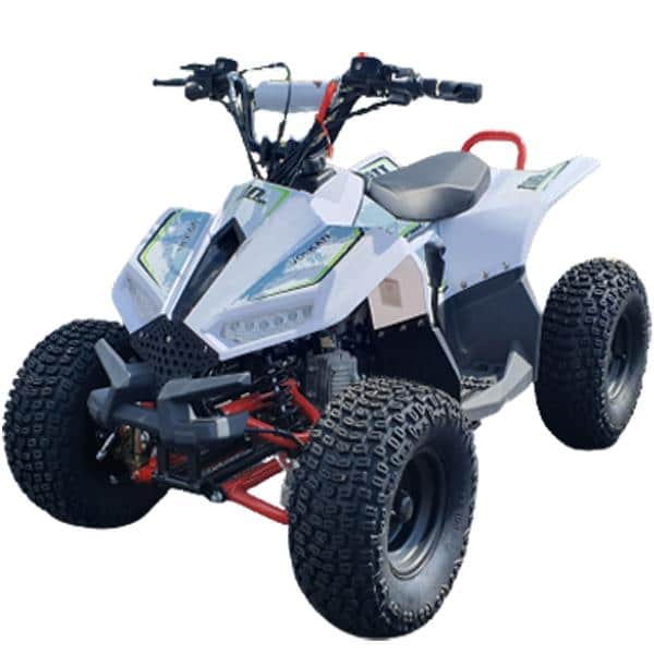 Hawkmoto volkan auto 110cc kids quad bike red