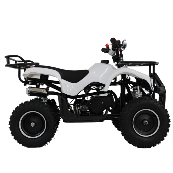 50cc Mini Quad Bike For Kids