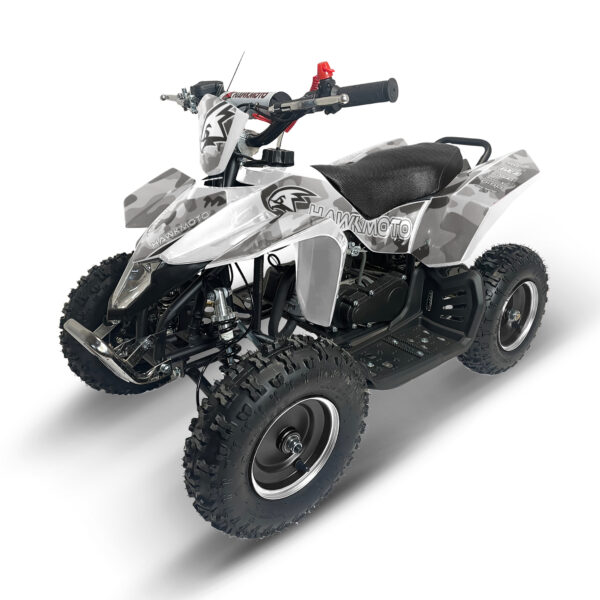 Hawkmoto sx-49r avenger v2 50cc mini kids quad bike white assembled - neon tiger (copy)