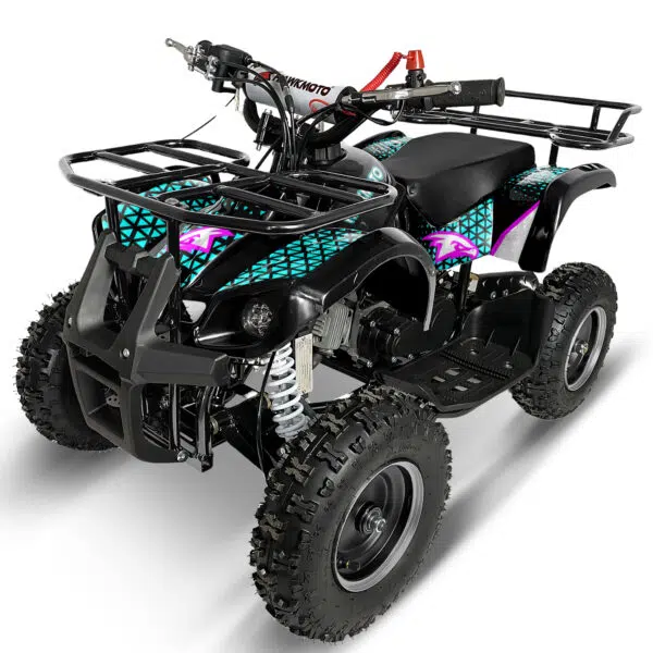 Black hawkmoto frm-49r v2 50cc mini kids quad bike assembled - Ray